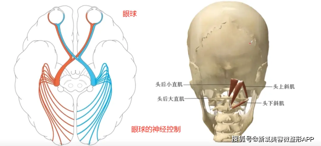 ab复出试水失败返港发展？！穿迷你裙扭腰摆拍，被嘲重回嫩模时代__ab复出试水失败返港发展？！穿迷你裙扭腰摆拍，被嘲重回嫩模时代