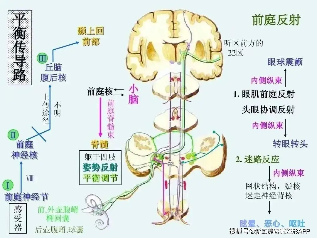 ab复出试水失败返港发展？！穿迷你裙扭腰摆拍，被嘲重回嫩模时代__ab复出试水失败返港发展？！穿迷你裙扭腰摆拍，被嘲重回嫩模时代